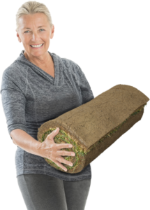 Order Sod Online