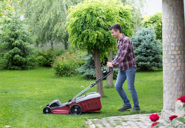 Lawn Tips for Early Spring