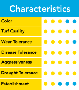 RPR Characteristics